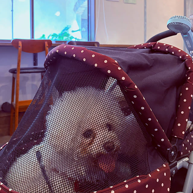 chacoさんの部屋