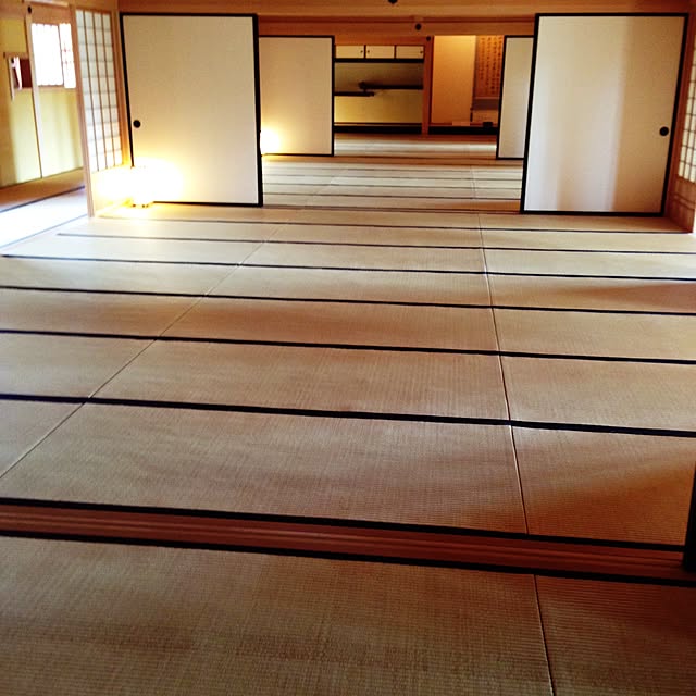 部屋全体/函館五稜郭のインテリア実例 - 2015-09-22 07:14:23