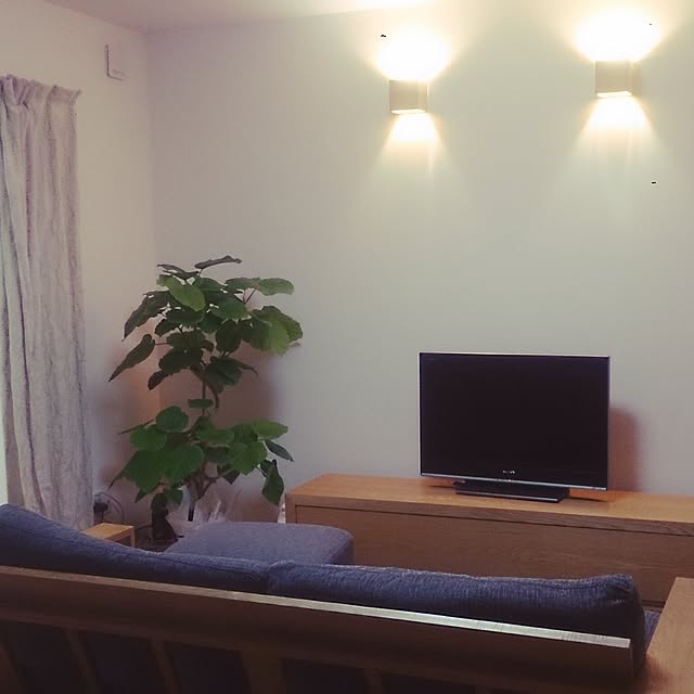 kodamanmaさんの実例写真