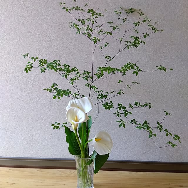 Motomeさんの部屋