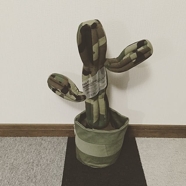 akichanaさんの実例写真