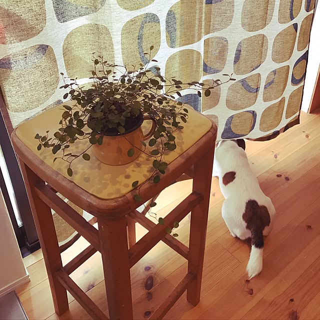 kkssjctさんの実例写真