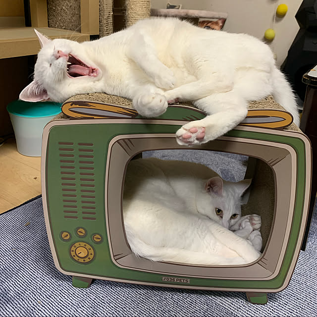 kuntaさんの実例写真