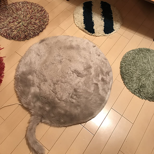 aya155cmさんの実例写真