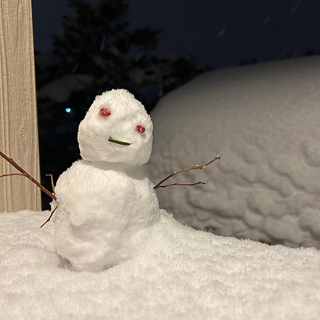 mikeume7さんの実例写真