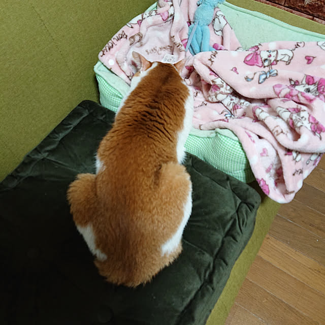 mugi77327732さんの実例写真