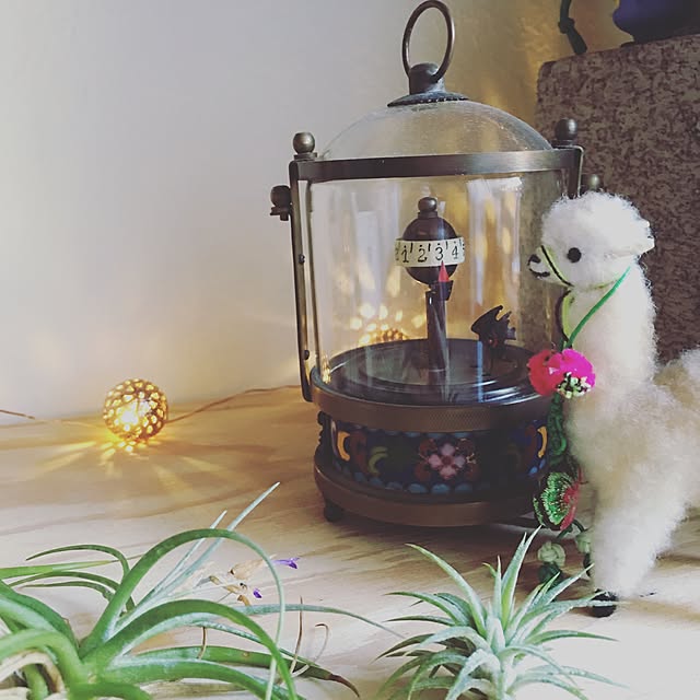 chakiさんの実例写真