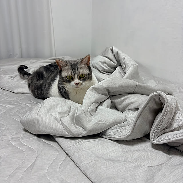 Atelier.mさんの部屋