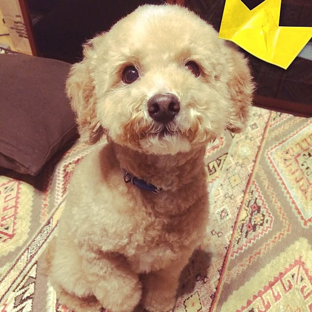 namoさんの実例写真