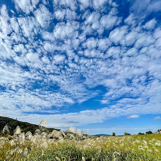 buchiさんの部屋