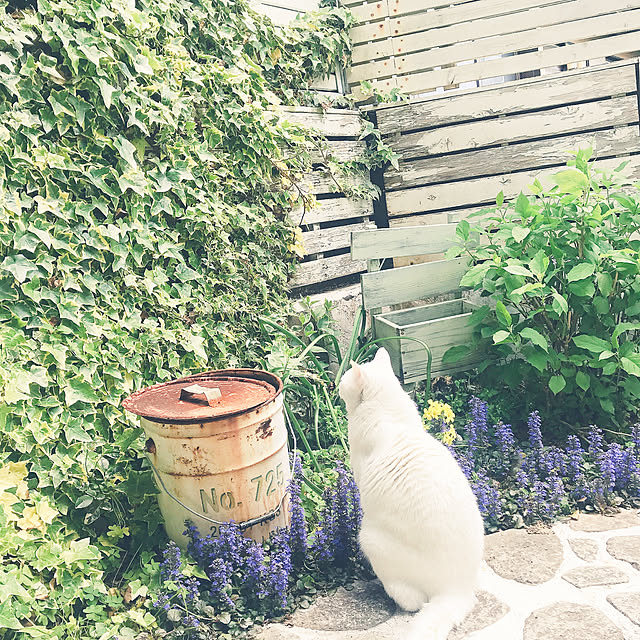 sawaさんの実例写真