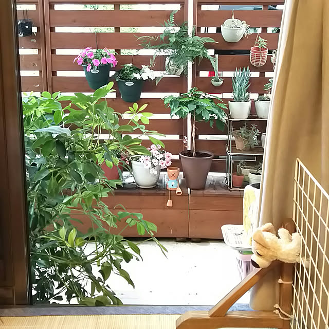 chiikokunさんの実例写真