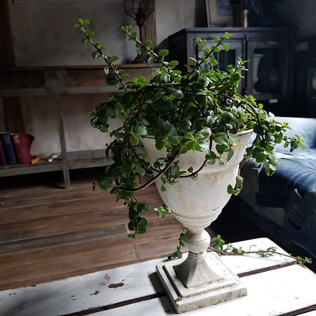 scrapheaven55さんの実例写真