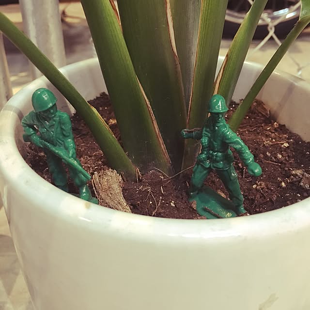 REDONIONさんの実例写真
