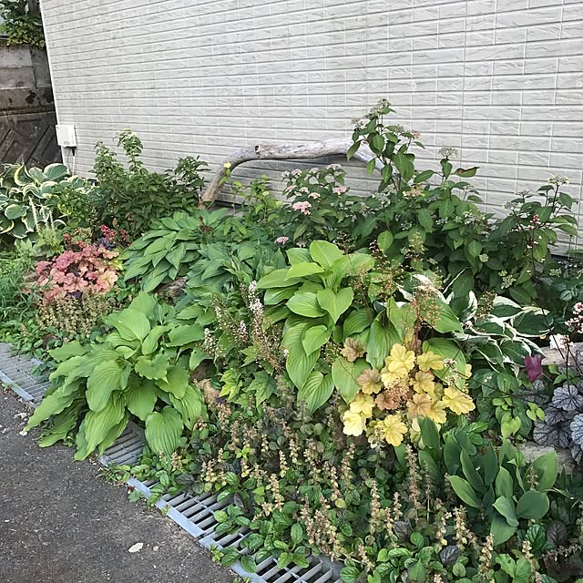 pepeさんの実例写真