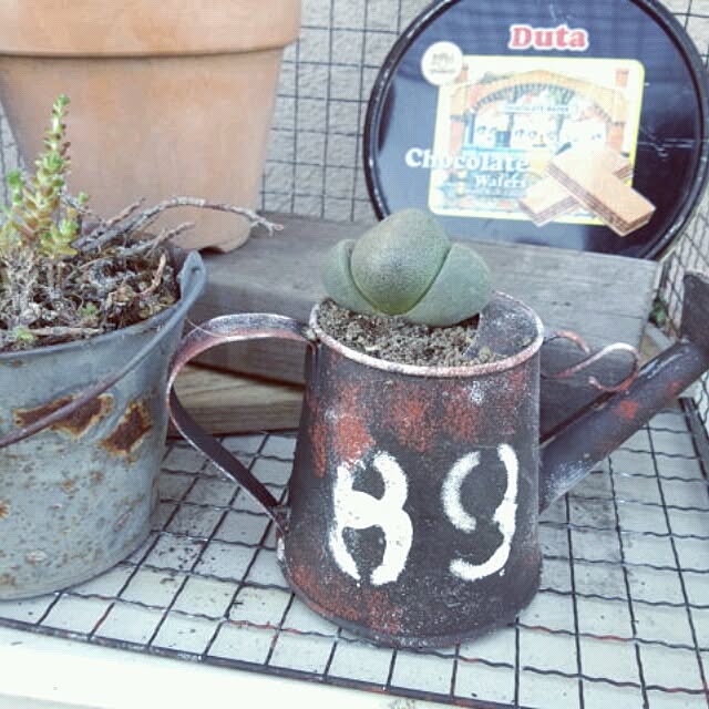 gurikoさんの実例写真