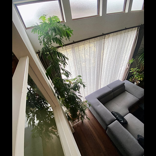 cocochiさんの実例写真