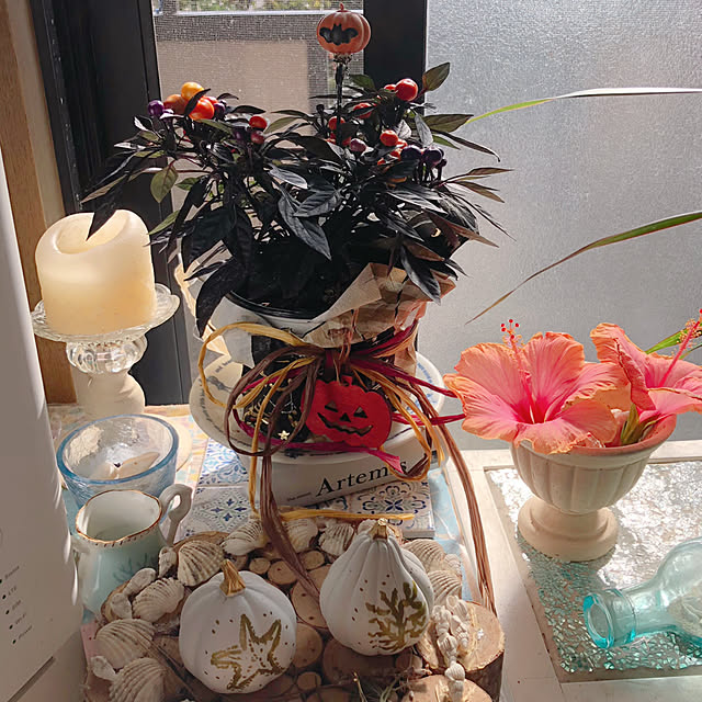 Malamaさんの部屋