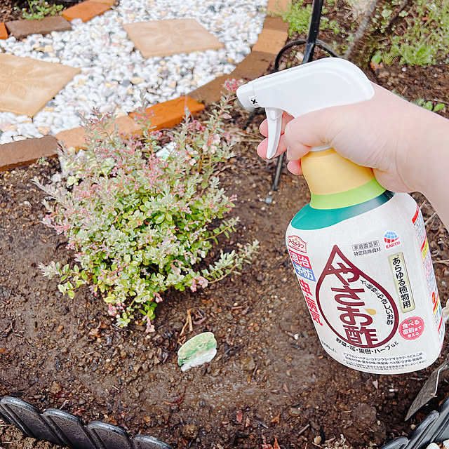 chanduさんの部屋