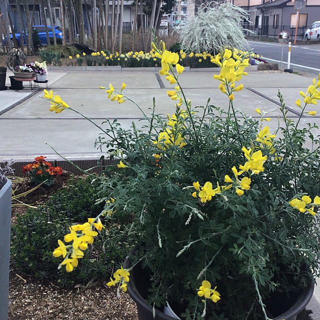 houenさんの実例写真