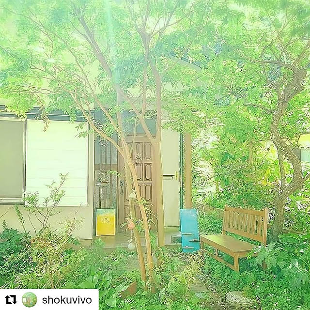 maosa1019さんの実例写真