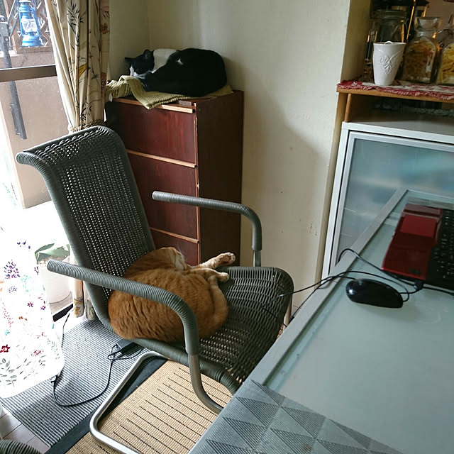 okyosan101さんの実例写真