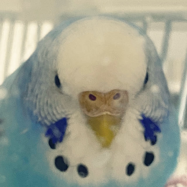 ohanaさんの部屋