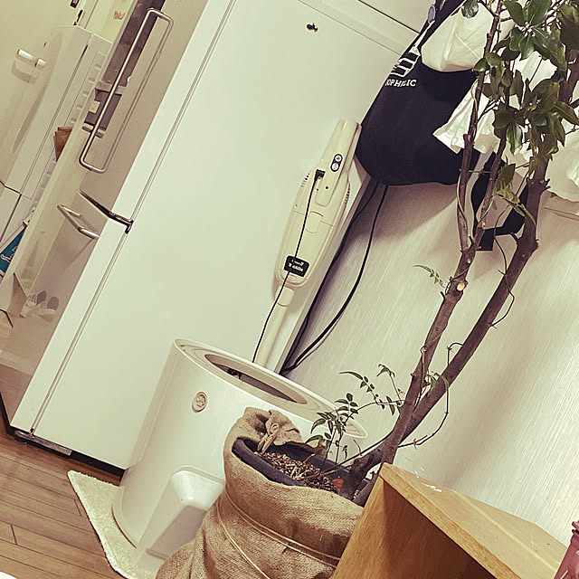 lippieさんの実例写真