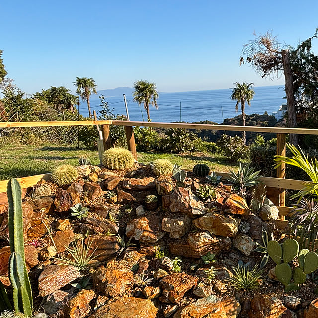 bonjiri0824さんの実例写真