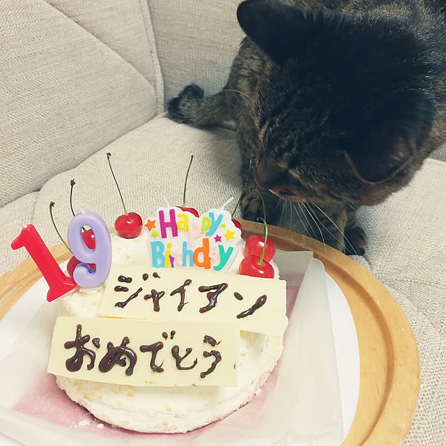 kittenblueさんの実例写真