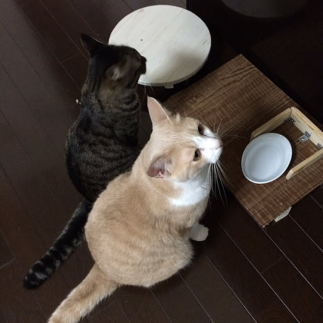 Fumiさんの実例写真