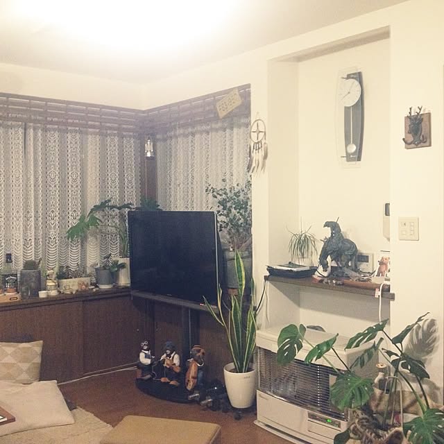 実例写真