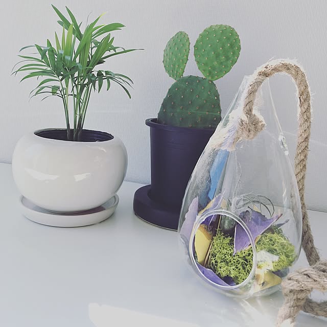 棚/観葉植物/多肉植物のインテリア実例 - 2016-10-26 13:43:48