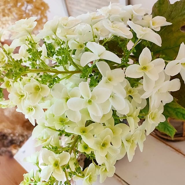 ai.happyplaceさんの部屋
