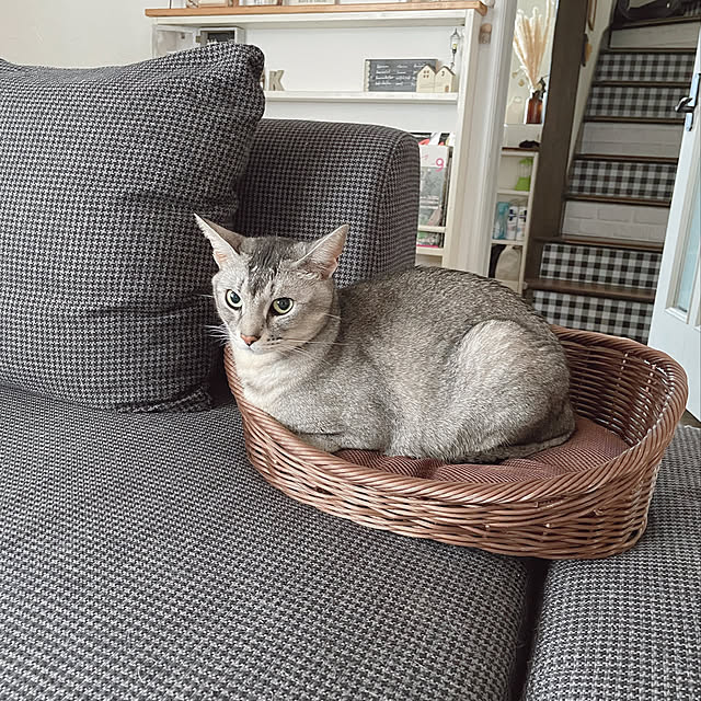 kotoriさんの実例写真