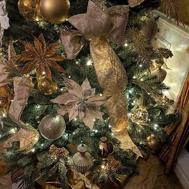 ryo4456さんの部屋