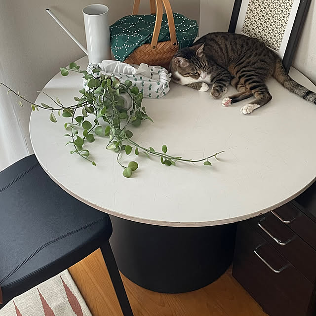 nobikoさんの部屋