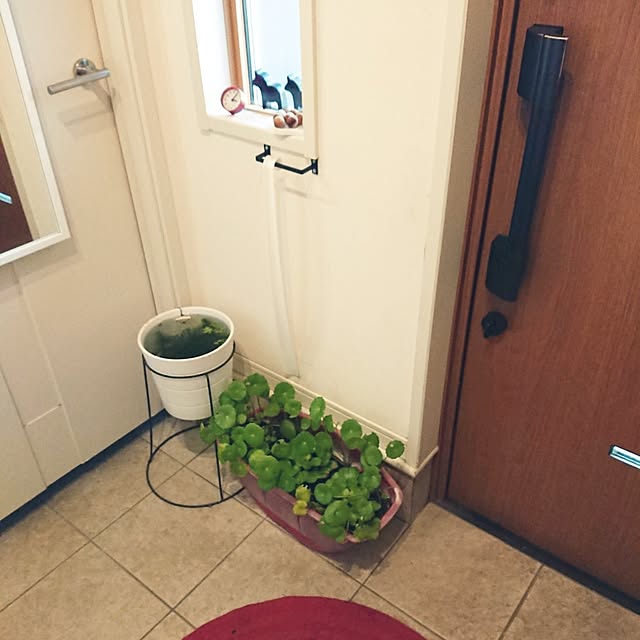 urchinさんの部屋
