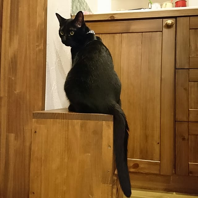 hiroさんの実例写真