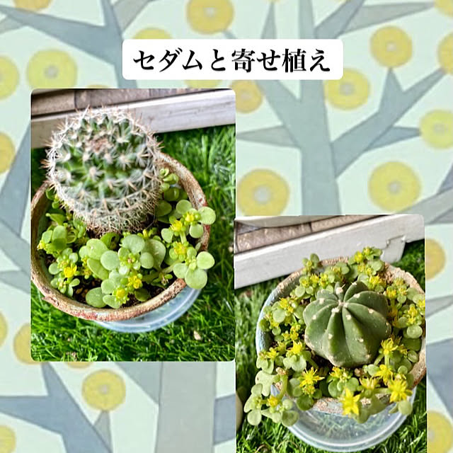 YuuKoさんの実例写真