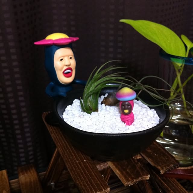 roroさんの実例写真