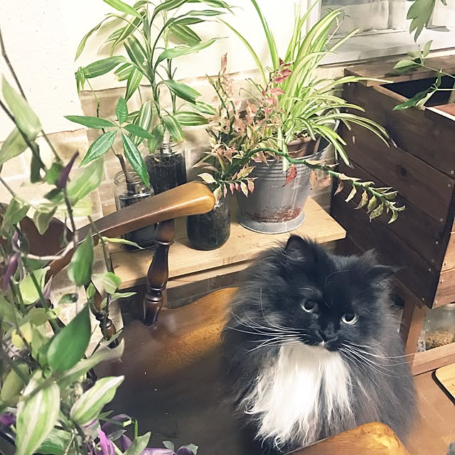 mucc08さんの実例写真