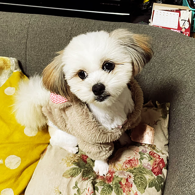 akiさんの実例写真