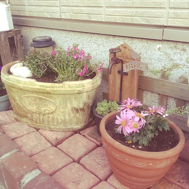 玄関/入り口/春のお花にチェンジ/寄せ植え/芝桜/玄関前ガーデニング...などのインテリア実例 - 2017-04-02 19:17:13