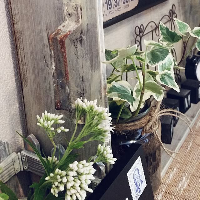 hitomiさんの実例写真