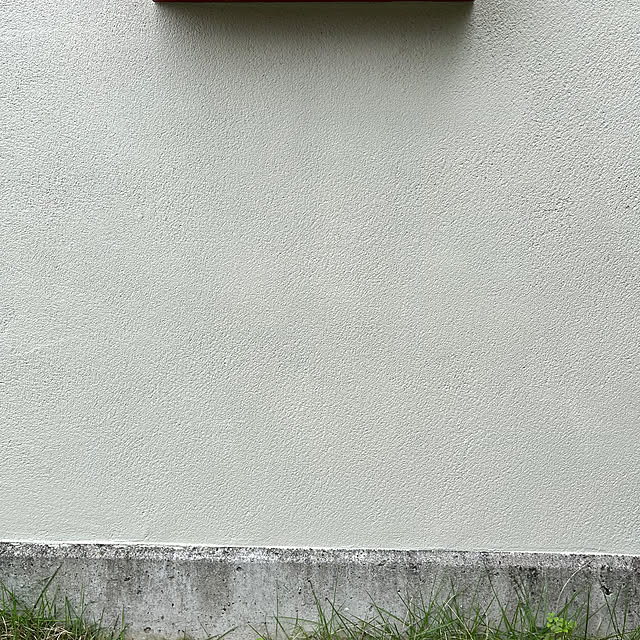 seiさんの実例写真