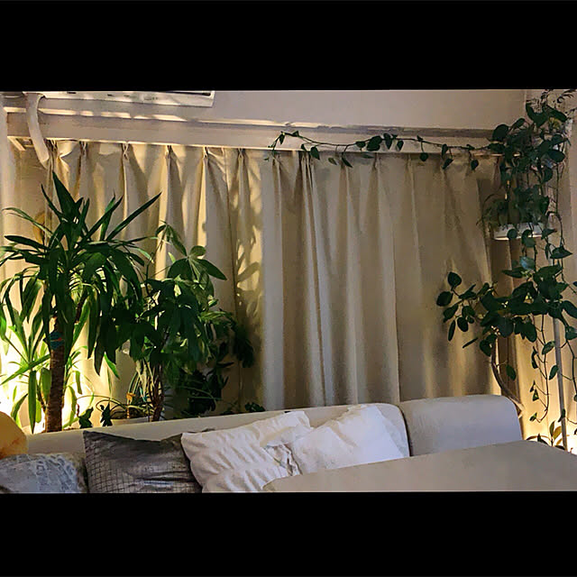 Amazon | パナソニック LEDアッパーライト LINK STYLE(リンク