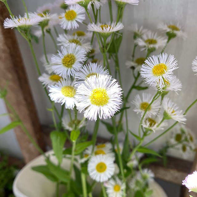 mamiさんの部屋