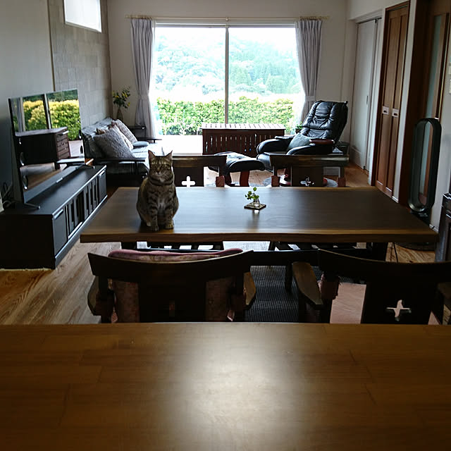 38catさんの実例写真