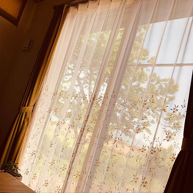 Petiotさんの実例写真